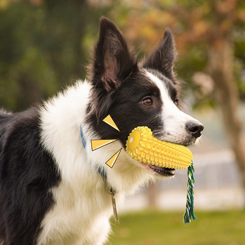Squeaky Corn Dog Toothbrush Ch - огляд і ціна Corn Dog Stick